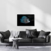 Gray Angel Fish In West Palm Beach, FL - Image 3